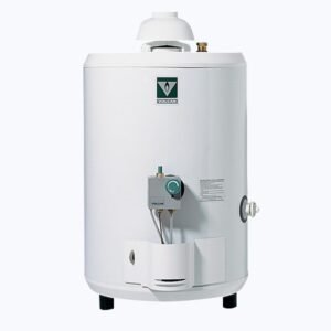 TERMOTANQUE VOLCAN 50LTS