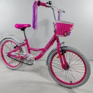 BICICLETA R20 AVELINO NIÑA CUADRO ACERO
