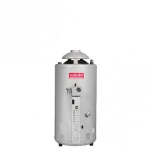 TERMOTANQUE ESKABE AQUAPIU 1100LTS H VER
