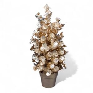 ARBOL HOJAS REDONDAS EN MACETA CHAMPAGNE
