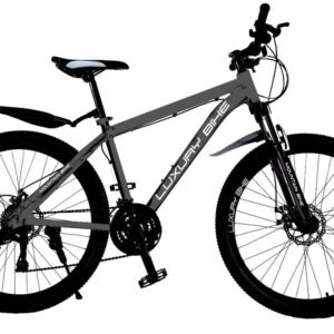 BICICLETA R29 LUXURY BIKE ALUM RAYOS