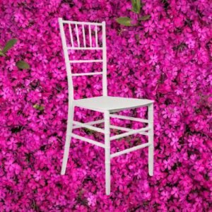 SILLA PVC ESTEFANY BLANCA APILABLE