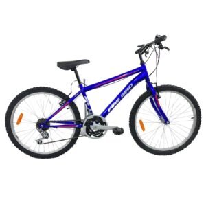 BICICLETA R24 FIREBIRD MTB HOMBRE 18V