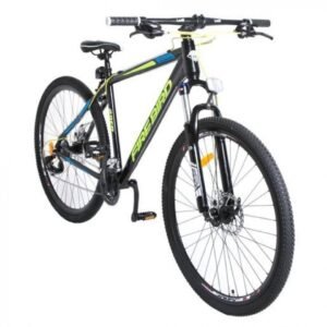 BICICLETA R29 FIRE BIRD 21V