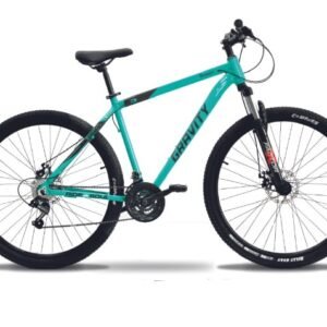BICICLETA R29 BEONE XB50 M/L ACERO NEXI